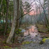 Review photo of Elkmont Campground — Great Smoky Mountains National Park by Alan P., March 31, 2024