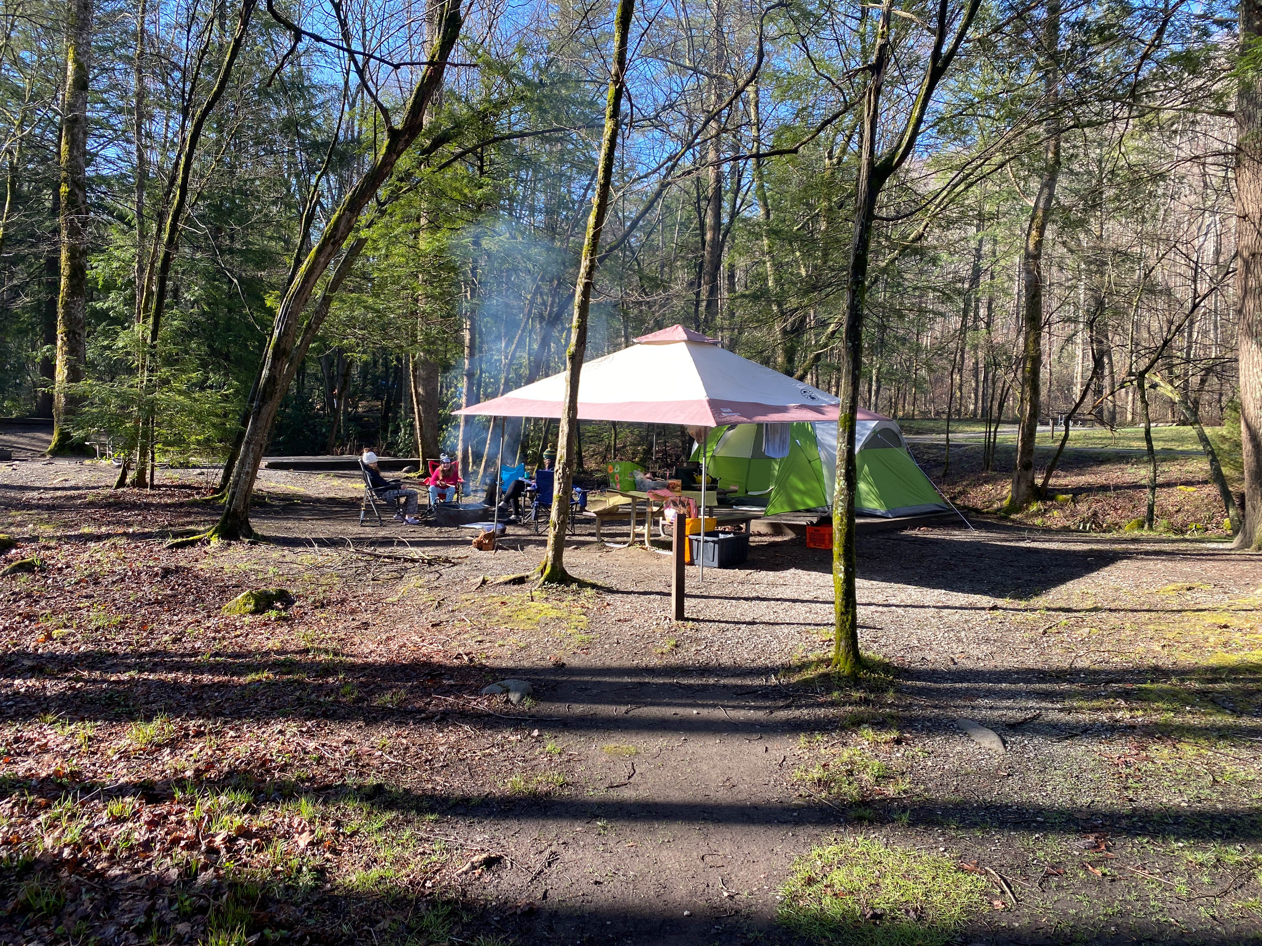 Alan P.'s photo of camping with pets at Elkmont Campground — Great Smoky Mountains National Park near Sevierville, TN