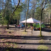 Review photo of Elkmont Campground — Great Smoky Mountains National Park by Alan P., March 31, 2024