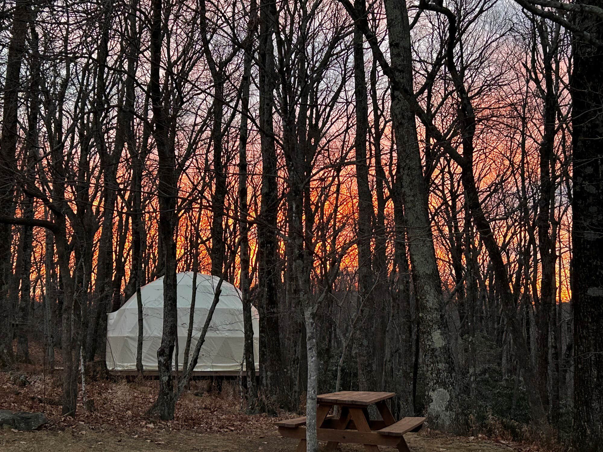 The Dyrt's photo at Blue Bear Mountain Camp near Boone, NC