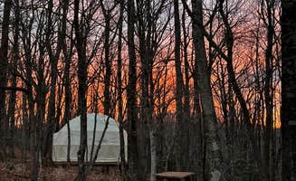 The Dyrt's photo of tent camping at Blue Bear Mountain Camp near Roaring Gap, NC