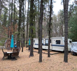 Camper-submitted photo from Pine View Campground
