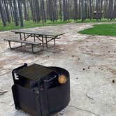 Review photo of Chief Keokuk Campground — Johnson-Sauk Trail State Recreation Area by Stuart K., April 1, 2024