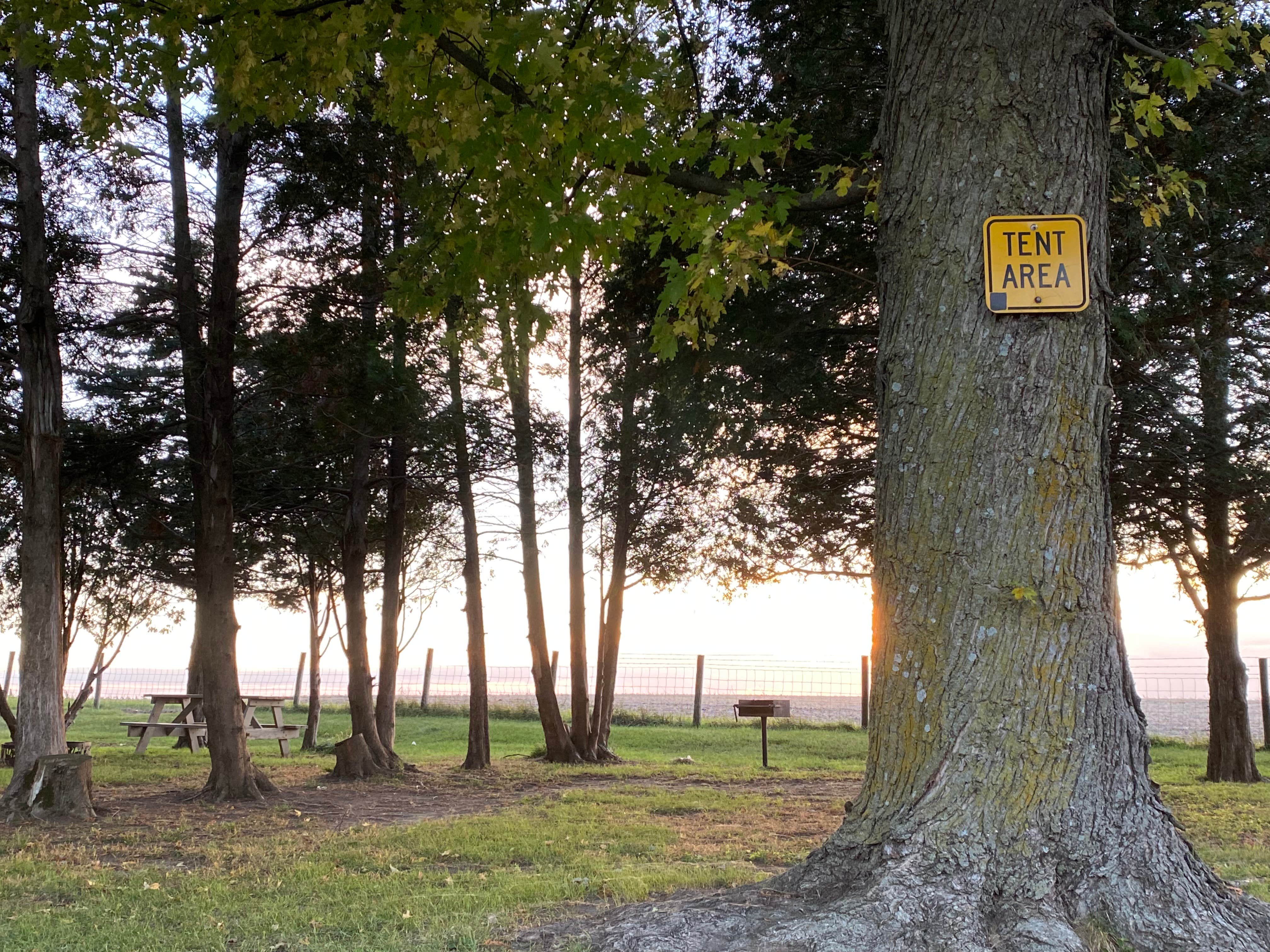 Camper-submitted photo at Little Bear Campground near West Liberty, IA