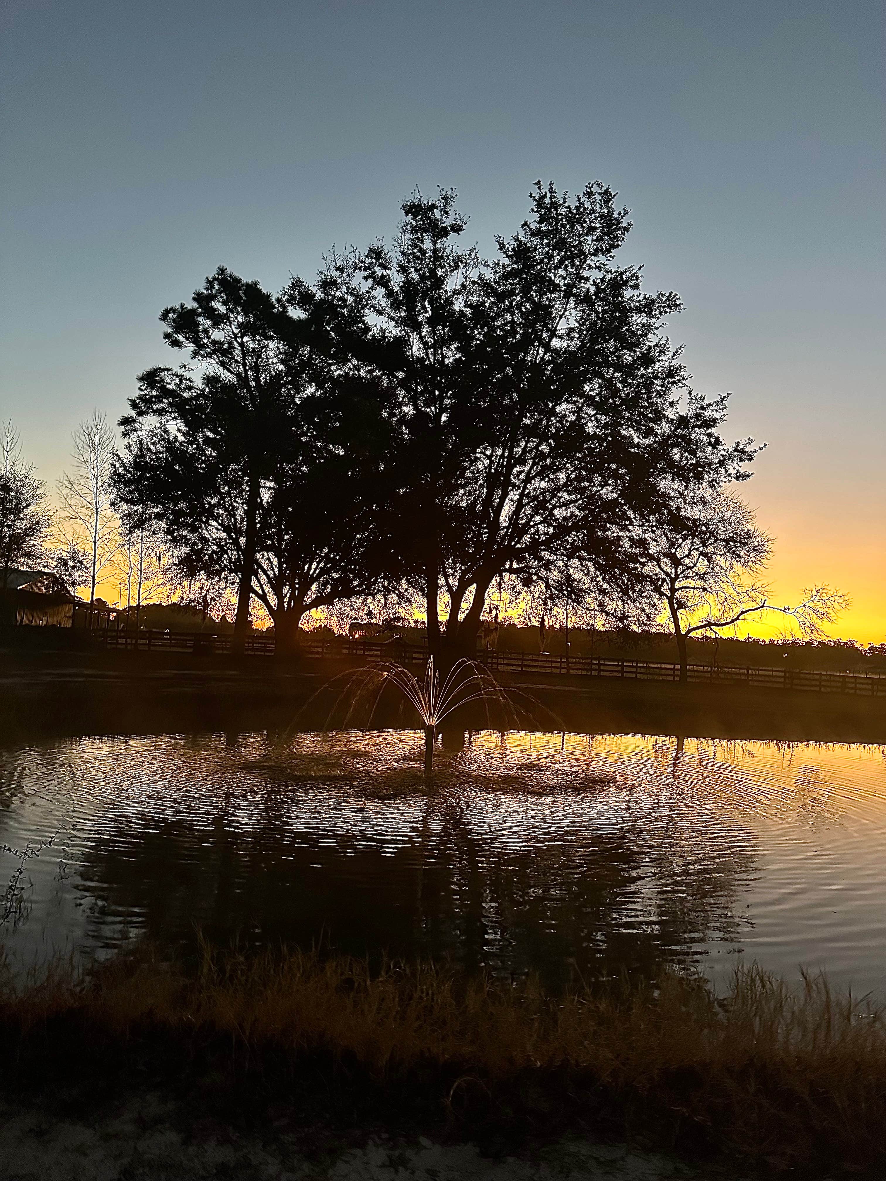 Camping near Lake City Campground: Faith and Love Farm, Lake City, Florida
