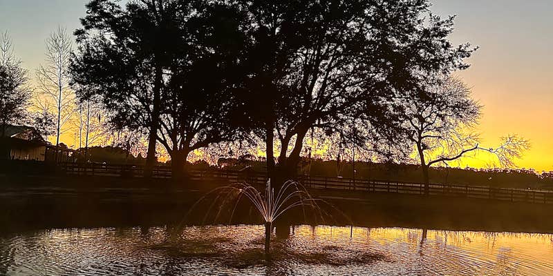 Camper submitted image from Faith and Love Farm