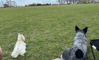 Damon H.'s photo of camping with pets at Pea Ridge Bike Camp near Fayetteville, AR