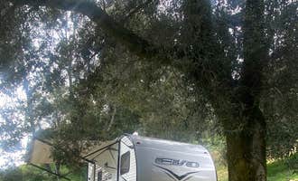 Camping near Vintage in the Vineyard: Oak Hollow, Julian, California