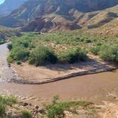 Review photo of Virgin River Gorge (BLM) by Berton M., April 2, 2024