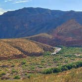 Review photo of Virgin River Gorge (BLM) by Berton M., April 2, 2024