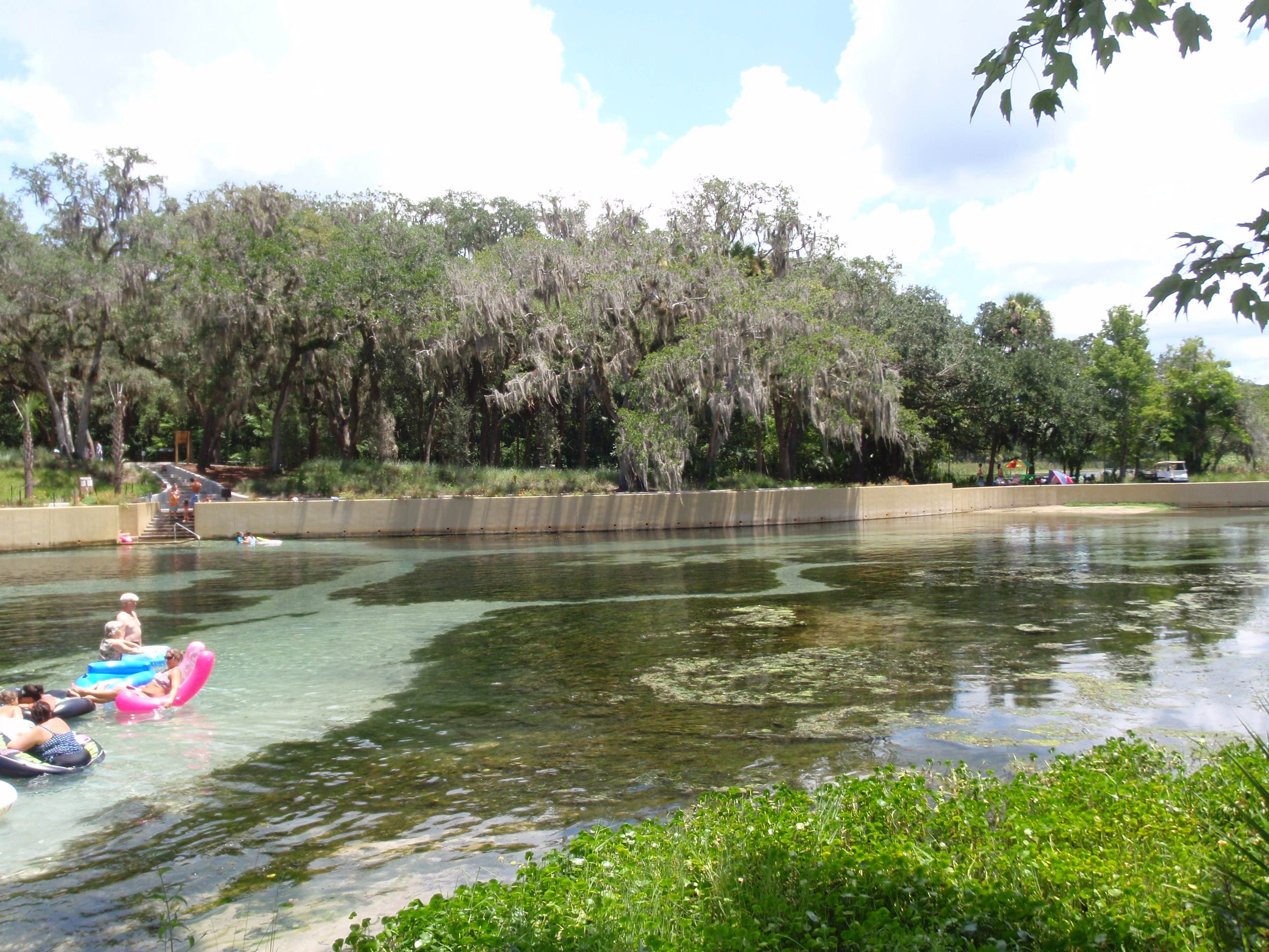 Camper-submitted photo at Salt Springs Recreation Area near Georgetown, FL