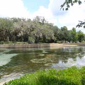 Review photo of Salt Springs Recreation Area by Tracy L H., September 12, 2016
