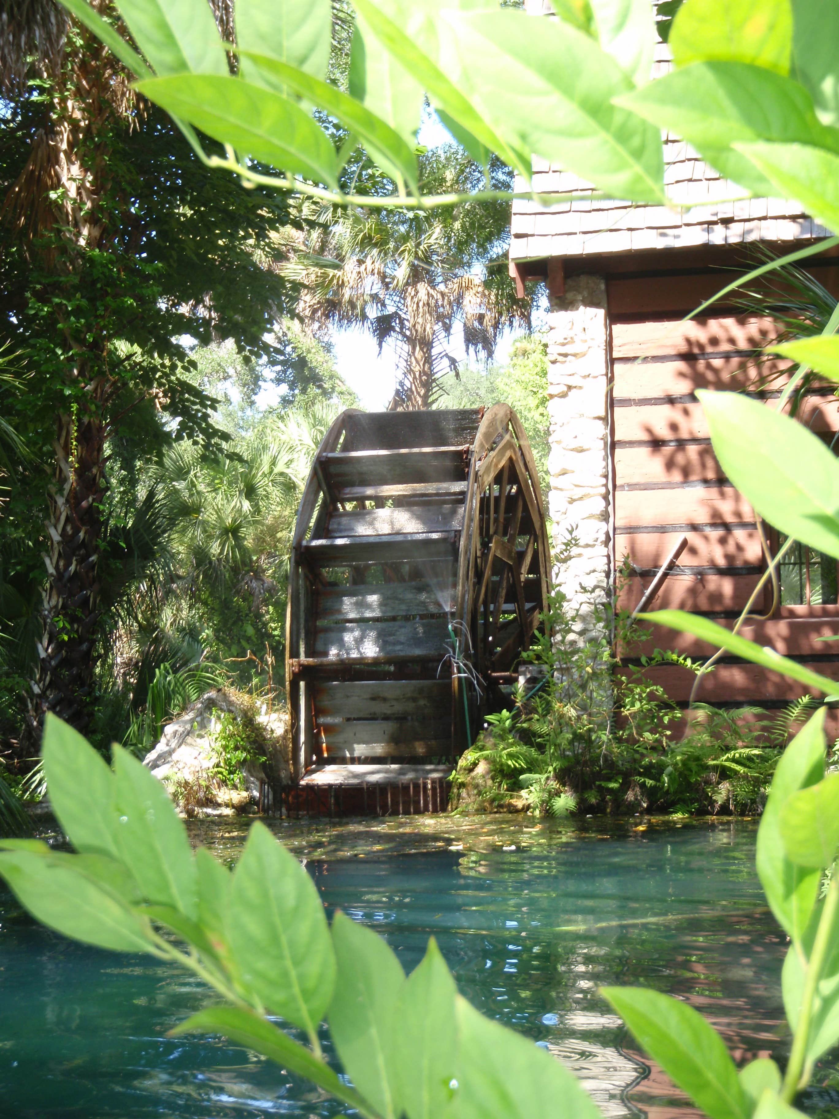 Camper submitted image from Juniper Springs Rec Area - Tropical Camp Area - 3