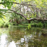 Review photo of Juniper Springs Rec Area - Tropical Camp Area by Tracy L H., September 12, 2016