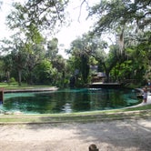 Review photo of Juniper Springs Rec Area - Tropical Camp Area by Tracy L H., September 12, 2016