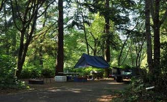 The Dyrt's photo at Alder Dune Campground near Mapleton, OR