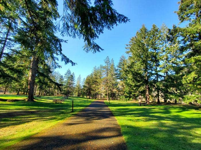 Camper-submitted photo at COE Dorena Reservoir Schwarz Campground near Cottage Grove, OR