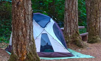 The Dyrt's photo at COE Dorena Reservoir Schwarz Campground near Dorena Lake