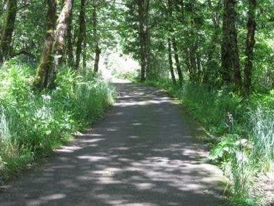 Camper submitted image from Mount Hood National Forest Armstrong Campground - TEMP CLOSED FOR FIRE - 4