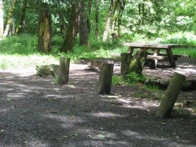 Camper submitted image from Mount Hood National Forest Armstrong Campground - TEMP CLOSED FOR FIRE - 3