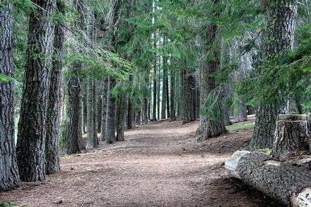 Camper submitted image from Aspen Point (lake of The Woods, Or) - 1