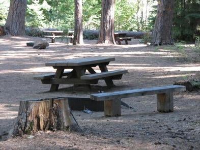 Camper submitted image from Bear Springs Campground - 1