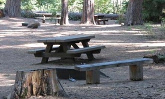 Camping near Clear Creek Crossing Campground: Bear Springs Campground, Government Camp, Oregon