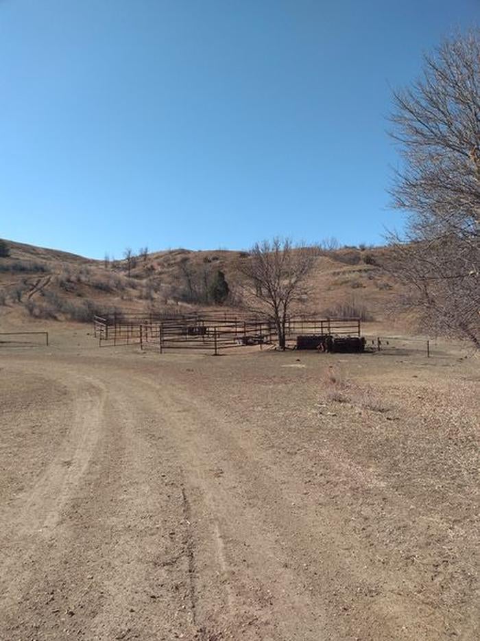 Camper submitted image from Roundup Group Horse Camp — Theodore Roosevelt National Park - 2
