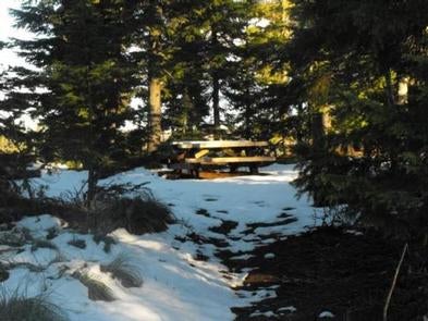 Camper submitted image from Big Lake West Campground - 1
