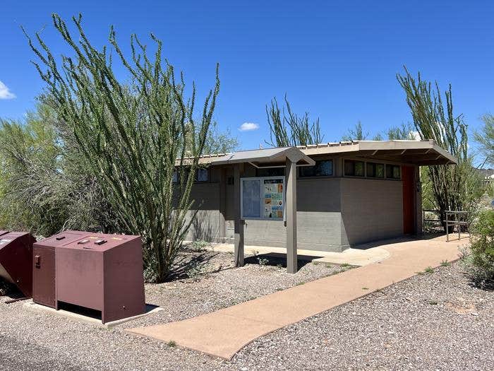 Camper submitted image from Twin Peaks Campground — Organ Pipe Cactus National Monument - 1