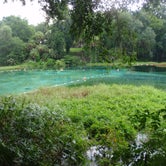 Review photo of Rainbow Springs State Park by Tracy L H., September 12, 2016