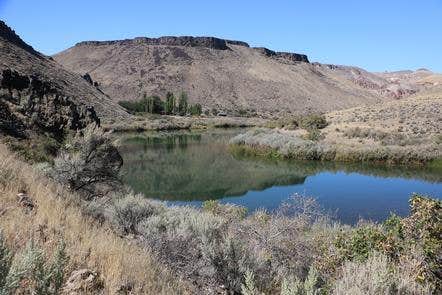 Camper submitted image from Birch Creek Historic Ranch - 4