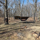 Review photo of Backpack Campsites - Long Branch State Park by Jon B., April 2, 2024