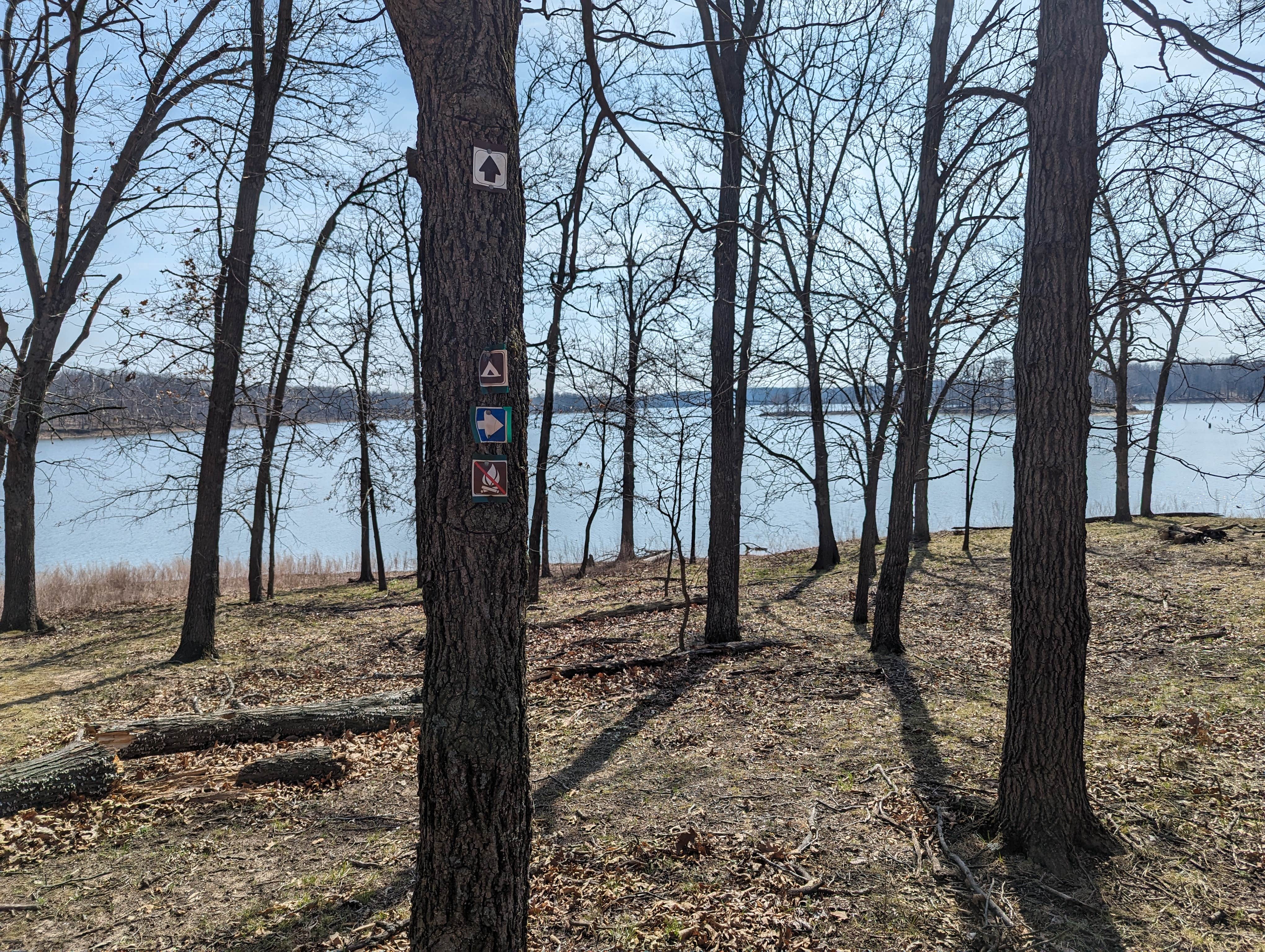 Camper-submitted photo at Backpack Campsites - Long Branch State Park near Macon, MO