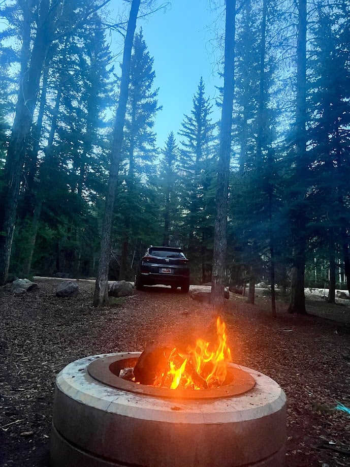 Camper submitted image from Aspen (UT) - 4