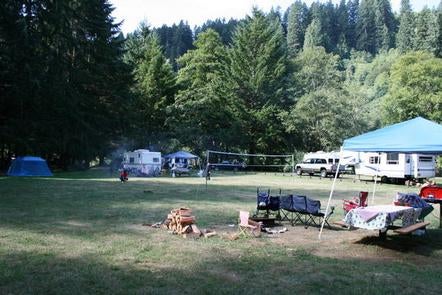 Camper submitted image from Siuslaw National Forest Blackberry Campground - 4
