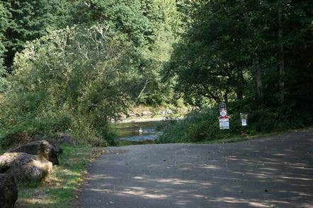 Camper submitted image from Siuslaw National Forest Blackberry Campground - 2