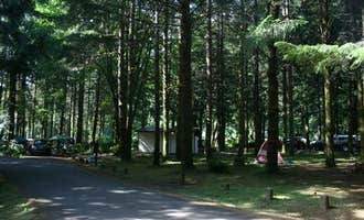 Camping near Drift Creek Landing RV Park & Marina: Siuslaw National Forest Blackberry Campground, Waldport, Oregon