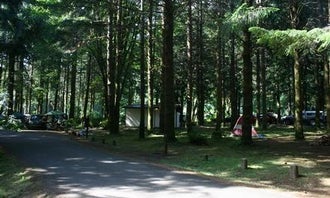 Camping near Hubert K McBee Memorial Campground: Siuslaw National Forest Blackberry Campground, Waldport, Oregon