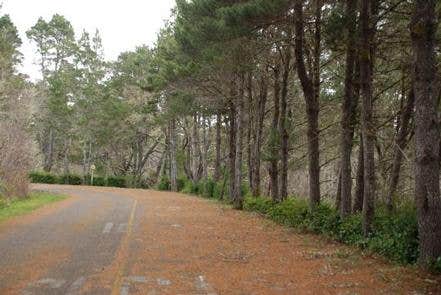 Roads