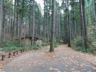 Camper submitted image from Bogus Creek Campground - CLOSED - 4