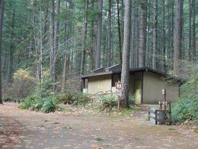 Camper submitted image from Bogus Creek Campground - CLOSED - 5