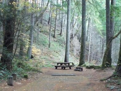 Camper submitted image from Bogus Creek Campground - CLOSED - 5