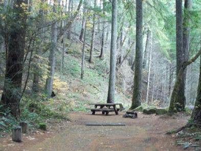 Camper submitted image from Bogus Creek Campground - CLOSED - 5