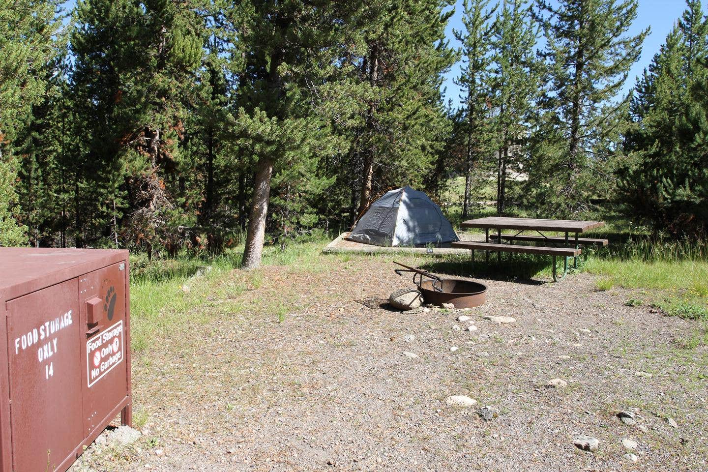 Camper submitted image from Indian Creek Campground — Yellowstone National Park - 2