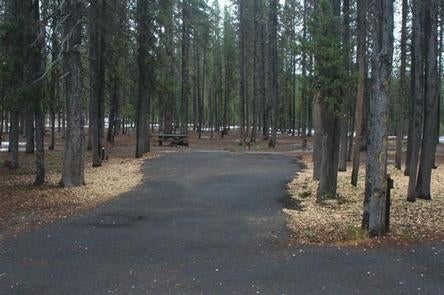 Camper submitted image from Broken Arrow Campground - 1
