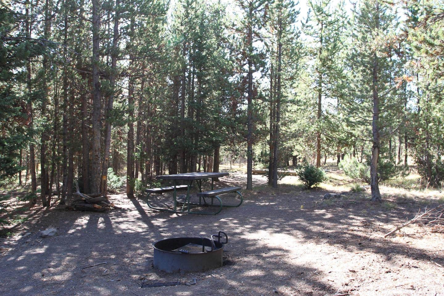 Camper submitted image from Indian Creek Campground — Yellowstone National Park - 1