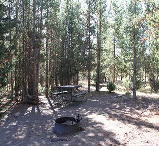 Camper-submitted photo from Indian Creek Campground — Yellowstone National Park