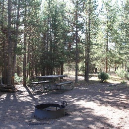 Public Campgrounds: Indian Creek Campground — Yellowstone National Park