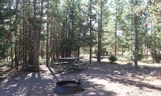 Camping near Trailcreek Cabin: Indian Creek Campground — Yellowstone National Park, Gardiner, Wyoming